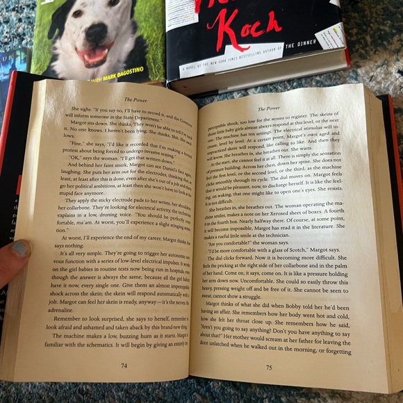 Mixed Young Adult Book Lot (5) - Picture 3 of 5